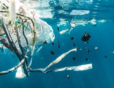 Fatos Impactantes: Reparar para Reduzir o Desperdício