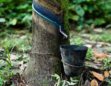 Porquê Usarmos Yulex® na Reparação de Wetsuits